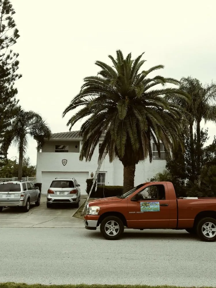 Expert landscape design in Holiday, FL by Erick Cardona Tree Service