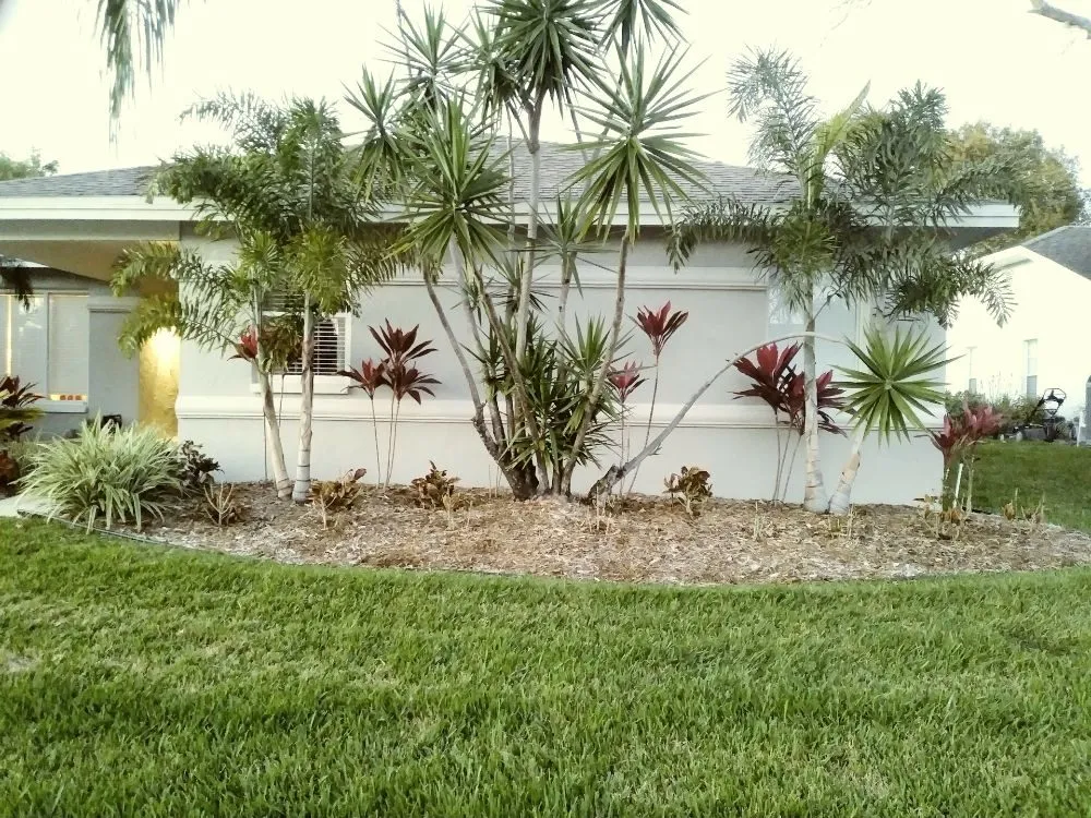 Professional yard maintenance experts serving Holiday, FL - Erick Cardona Tree Service