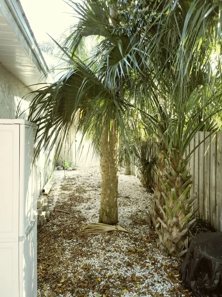 Affordable garden landscaping in Holiday, FL by Erick Cardona Tree Service