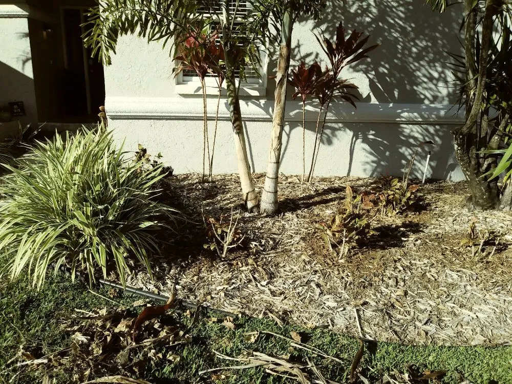 Affordable landscape installation in Holiday, FL by Erick Cardona Tree Service