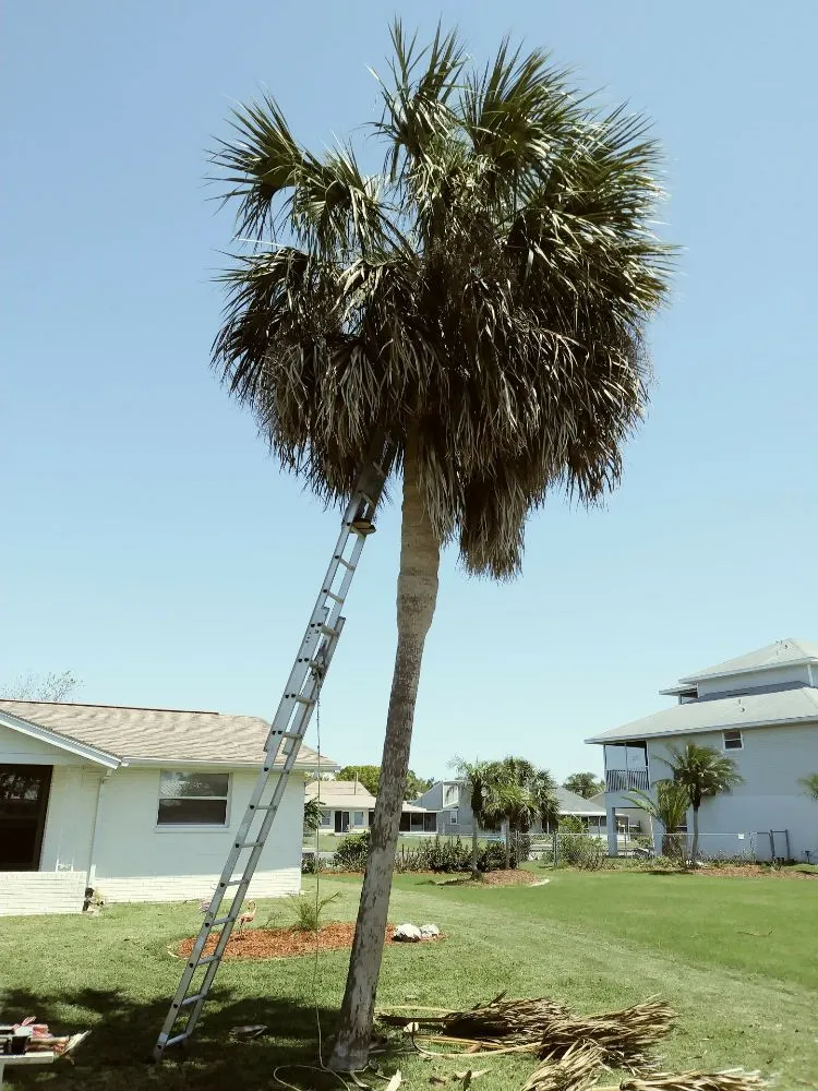 Custom landscape installation experts serving Holiday, FL - Erick Cardona Tree Service