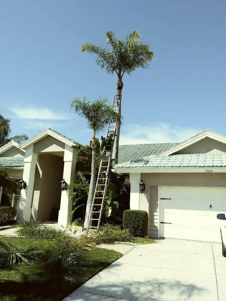 Trusted landscape design experts serving Holiday, FL - Erick Cardona Tree Service