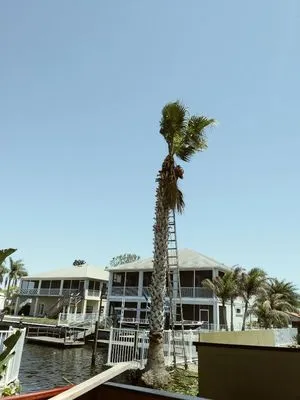 Erick Cardona Tree Service Logo