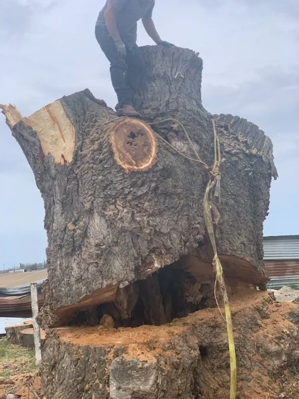 Custom residential landscaping near you in Stevinson, CA by Erick J Tree Service