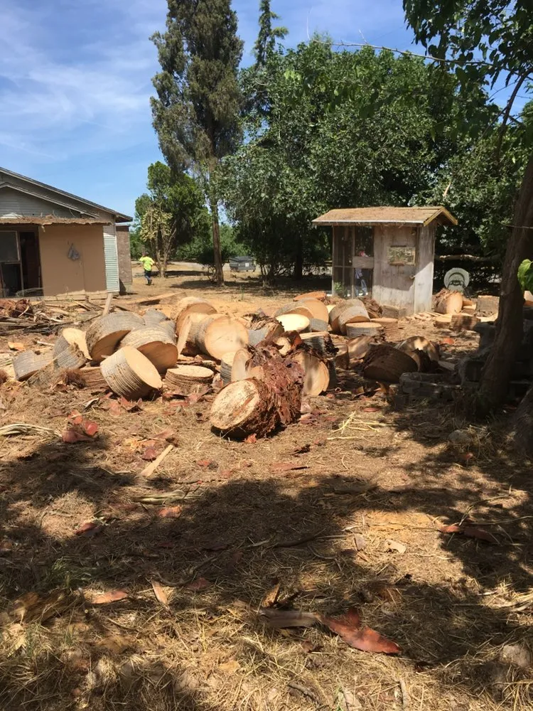 Professional landscape design for beautiful yards in Stevinson, CA by Erick J Tree Service