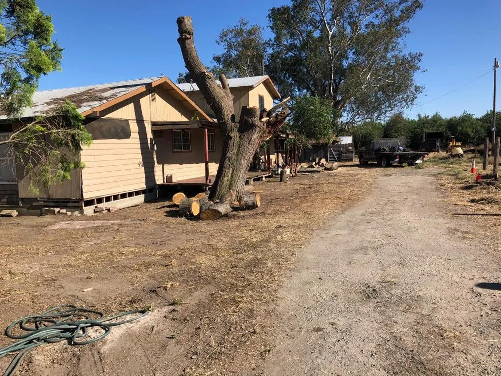 Top-rated residential landscaping in Stevinson, CA - Erick J Tree Service
