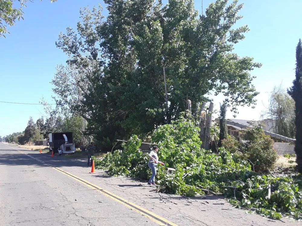 Reliable landscaping services in Stevinson, CA by Erick J Tree Service