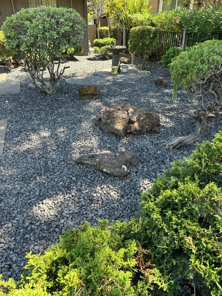 Local lawn care service in San Rafael, CA - Erick Landscaping