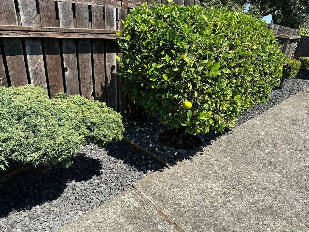 Trusted landscape design experts serving San Rafael, CA - Erick Landscaping