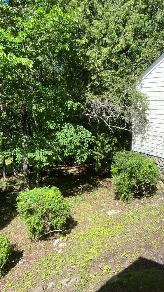 Professional landscape installation experts serving Waltham, MA - Erick Landscaping