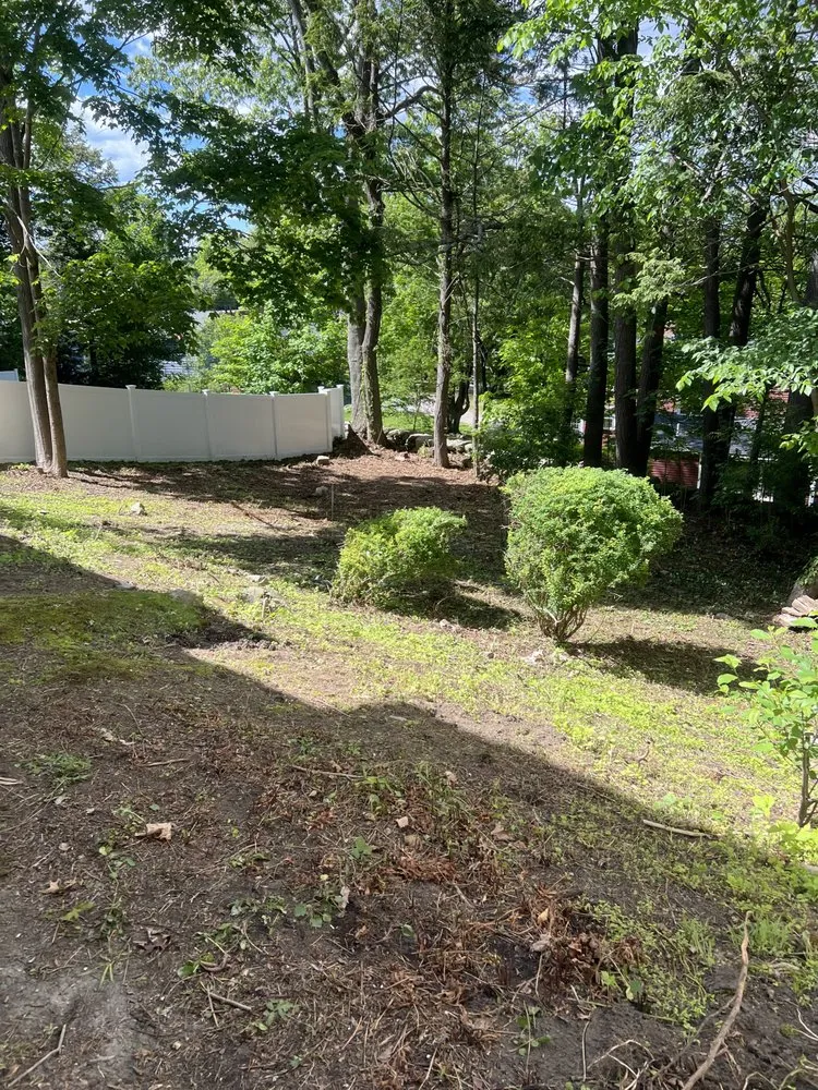 Local landscape design experts serving Waltham, MA - Erick Landscaping