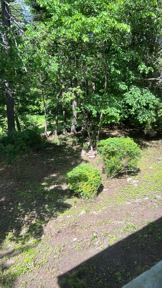 Custom lawn mowing service in Waltham, MA - Erick Landscaping