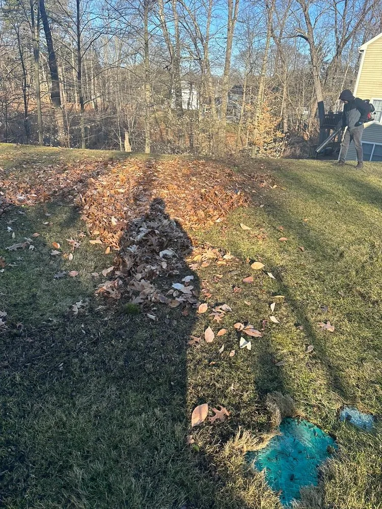 Expert residential landscaping in Waltham, MA - Erick Landscaping