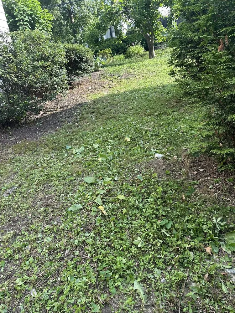 Trusted landscaping services near you in Waltham, MA by Erick Landscaping