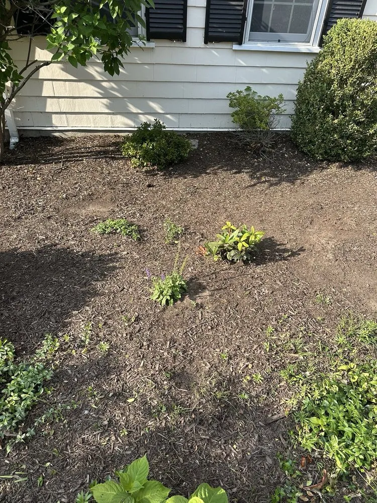 Custom landscape installation in Waltham, MA - Erick Landscaping