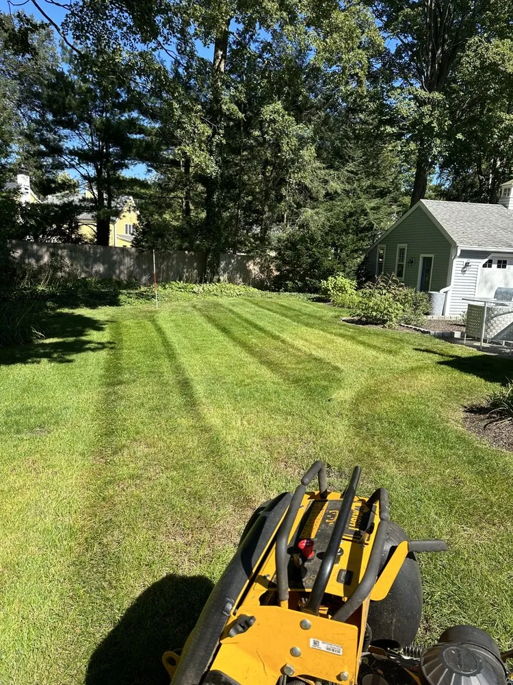 Affordable yard cleanup service experts serving Waltham, MA - Erick Landscaping