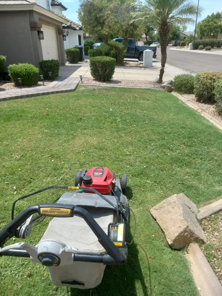 Top-rated residential landscaping for homes across Chandler, AZ - Erick Lawn Service