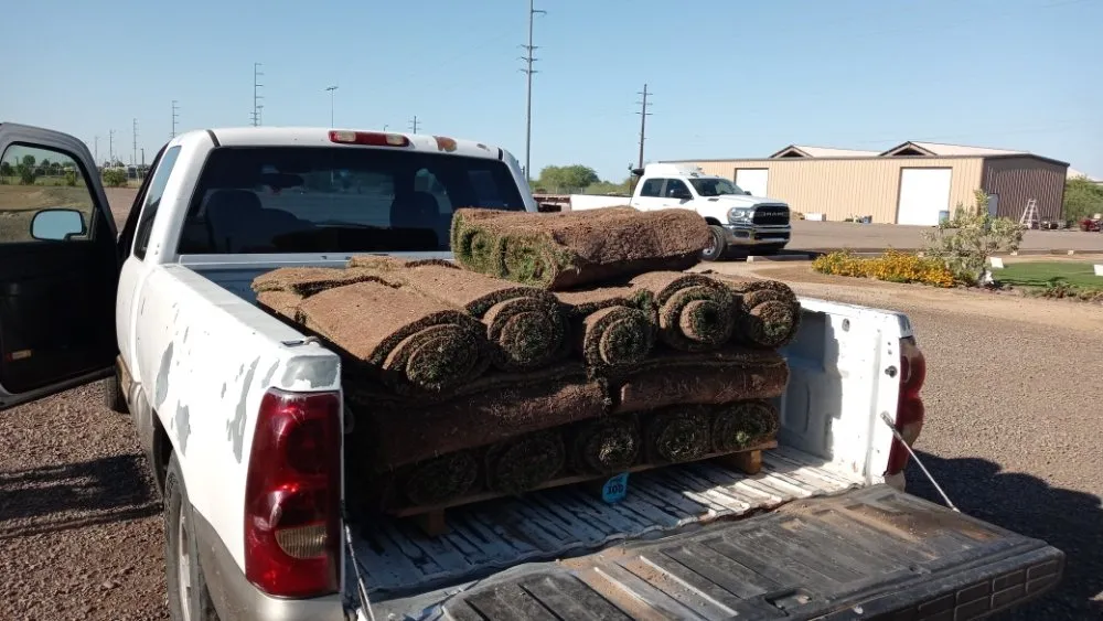 Affordable outdoor landscaping for beautiful yards across Chandler, AZ - Erick Lawn Service