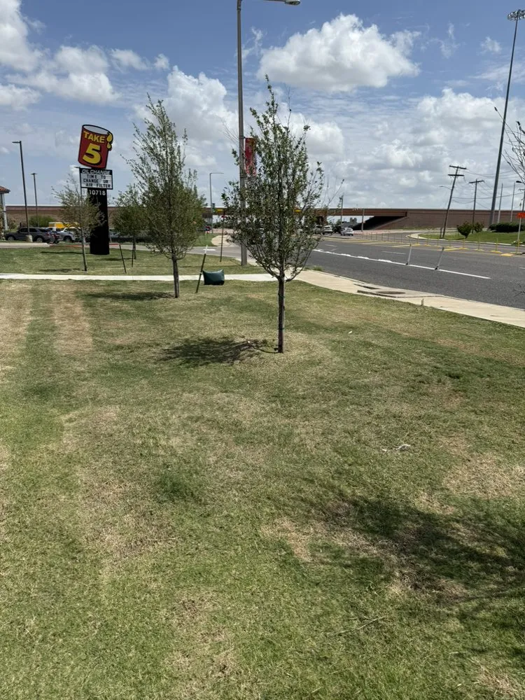 Affordable residential landscaping for year-round maintenance in Laredo, TX by Erick's Commercial Landscape