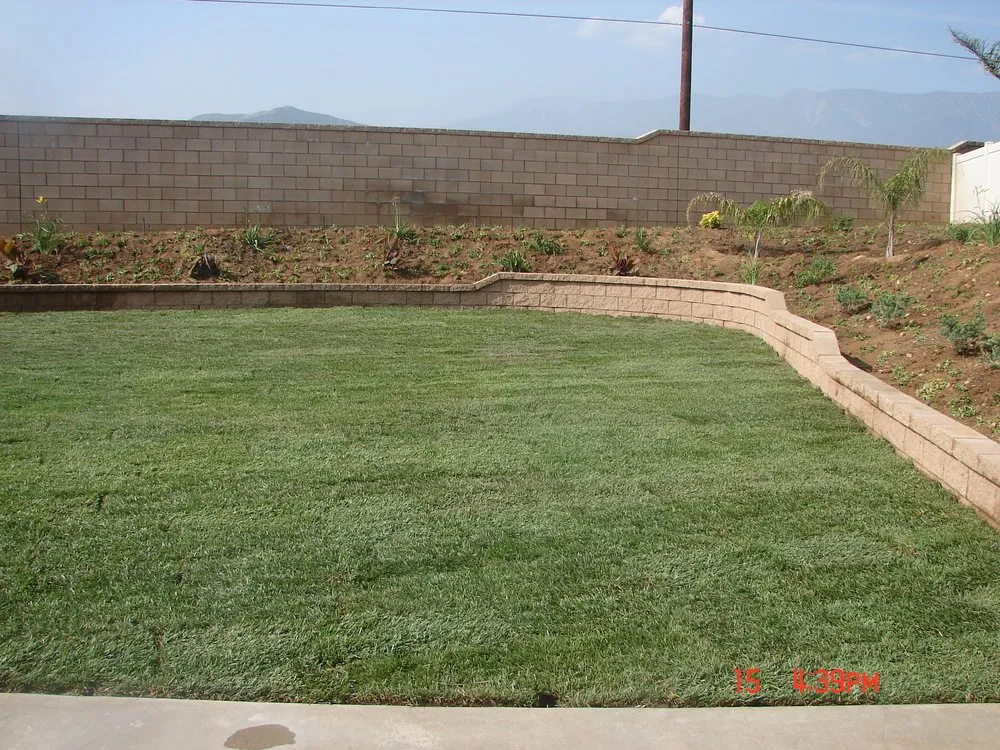 Reliable lawn mowing service for year-round maintenance in San Bernardino, CA by Erick's Landscape