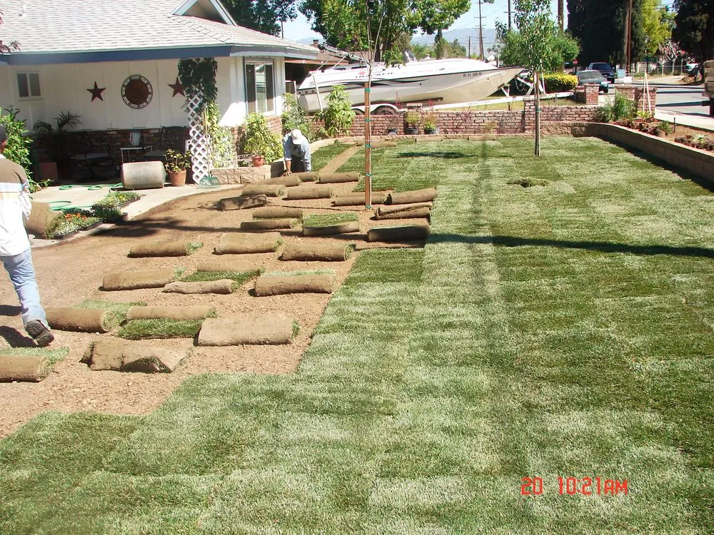 Custom lawn care service for residential properties across San Bernardino, CA - Erick's Landscape