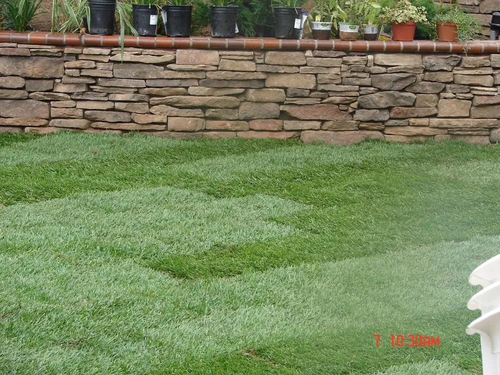 Custom yard maintenance experts serving San Bernardino, CA - Erick's Landscape