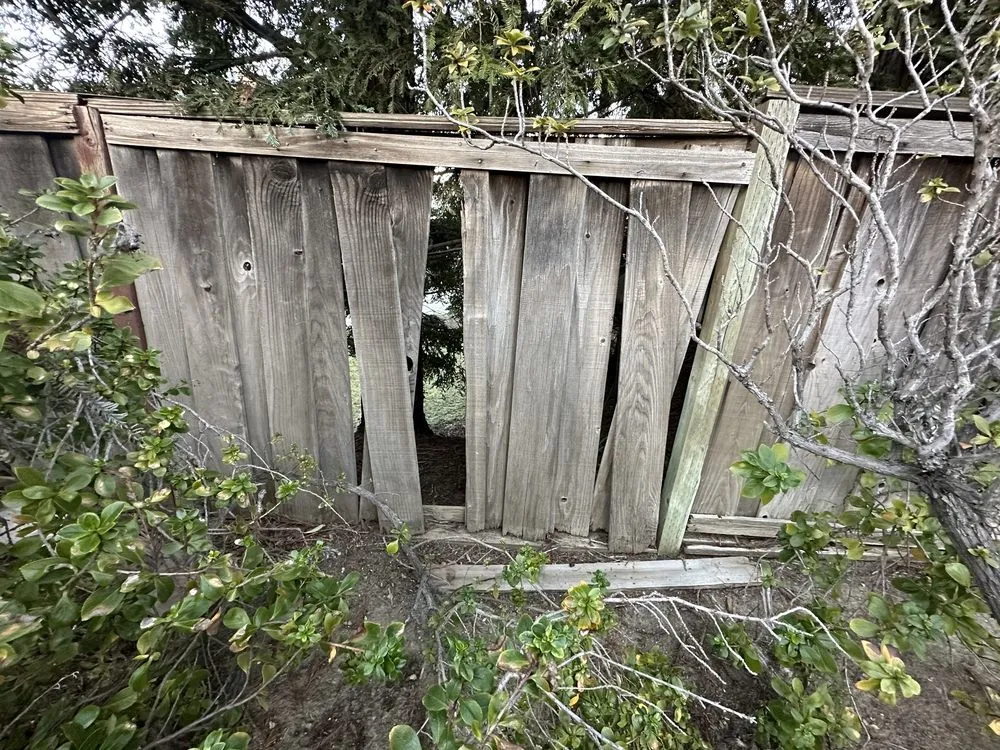 Trusted yard cleanup service in Concord, CA - Erick’s Landscaping