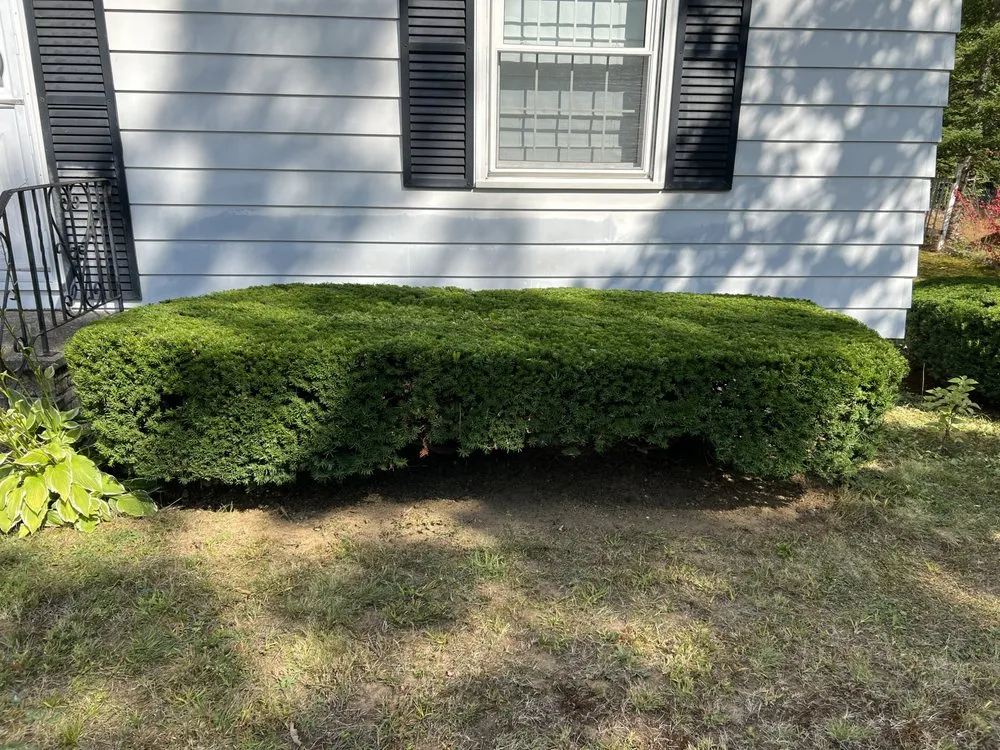 Trusted yard cleanup service for residential properties across Rochester, NH - Ericks Lawn Care