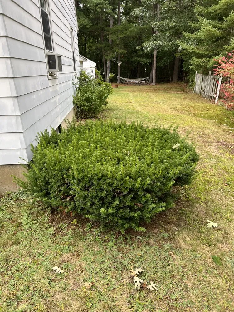 Affordable yard maintenance in Rochester, NH by Ericks Lawn Care