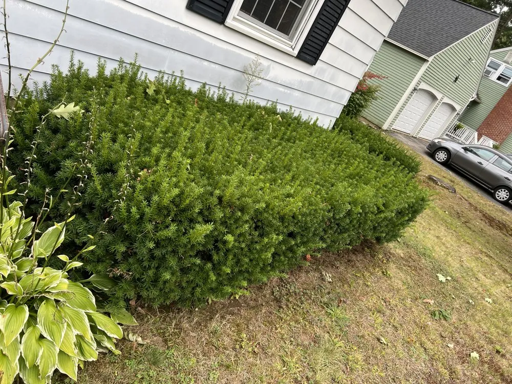 Expert landscape installation in Rochester, NH by Ericks Lawn Care