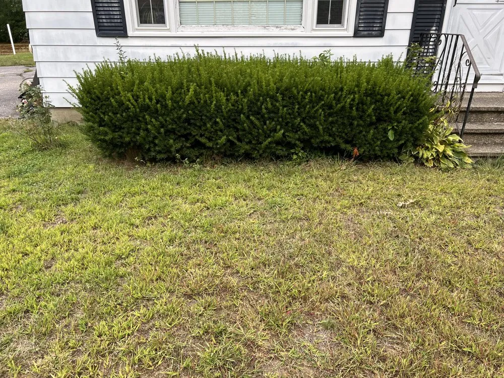 Trusted yard maintenance experts serving Rochester, NH - Ericks Lawn Care