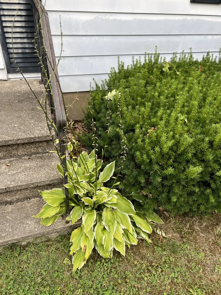 Professional landscaping services with custom design across Rochester, NH - Ericks Lawn Care