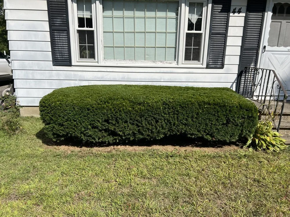 Professional yard cleanup service for beautiful yards across Rochester, NH - Ericks Lawn Care