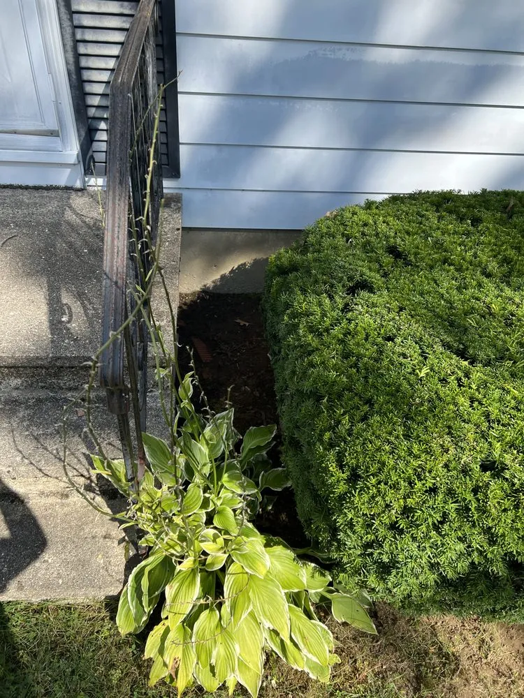 Top-rated lawn care service for beautiful yards in Rochester, NH by Ericks Lawn Care