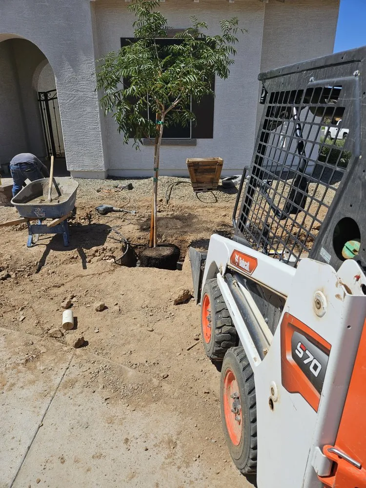 Custom lawn care service in Maricopa, AZ by Erick's Lawn Maintenance