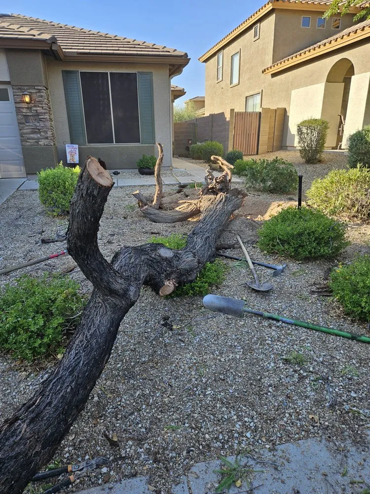 Reliable residential landscaping with custom design in Maricopa, AZ by Erick's Lawn Maintenance