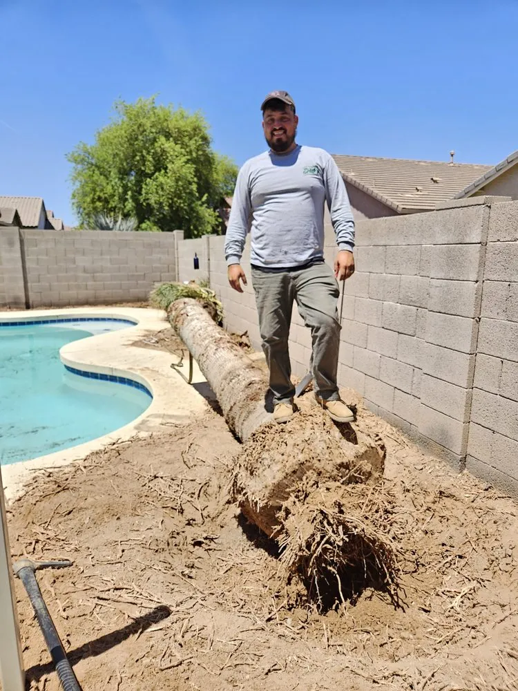 Expert lawn care service experts serving Maricopa, AZ - Erick's Lawn Maintenance