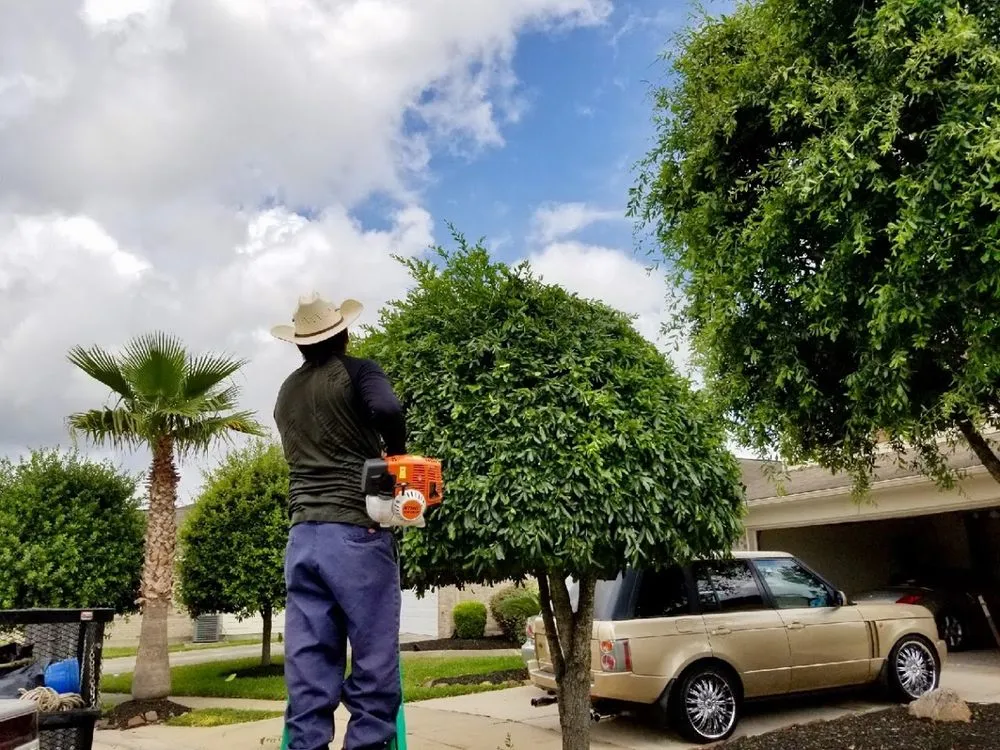 Professional landscape design for beautiful yards in La Marque, TX by Erick's Lawn Service