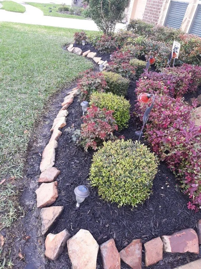 Top-rated yard cleanup service for outdoor upgrades in La Marque, TX by Erick's Lawn Service