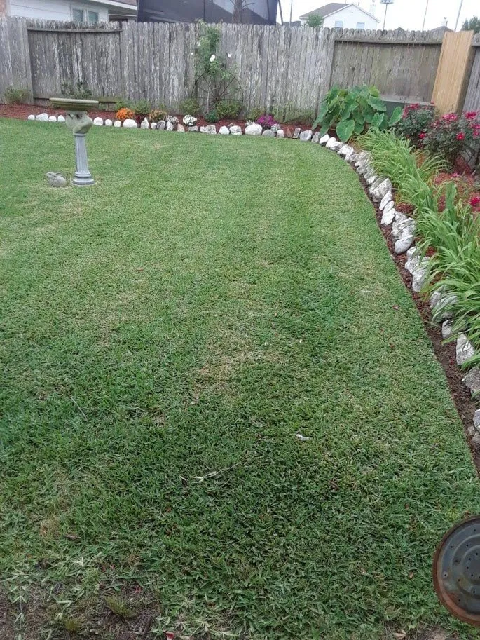 Professional yard maintenance for homes in La Marque, TX by Erick's Lawn Service