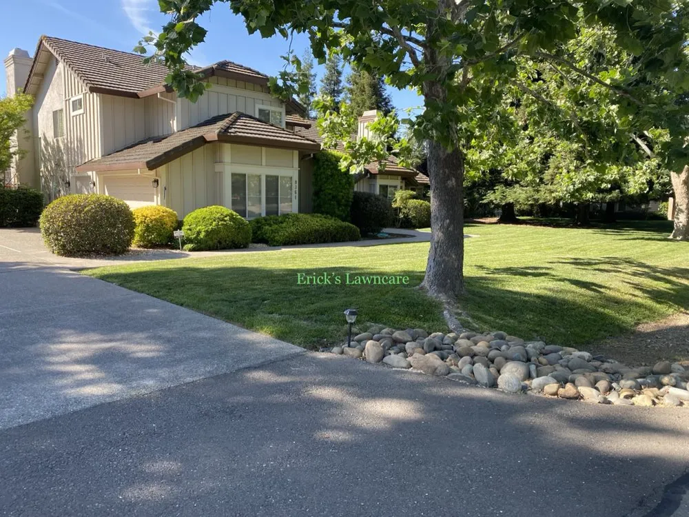 Reliable yard maintenance in Elk Grove, CA by Erick's lawncare