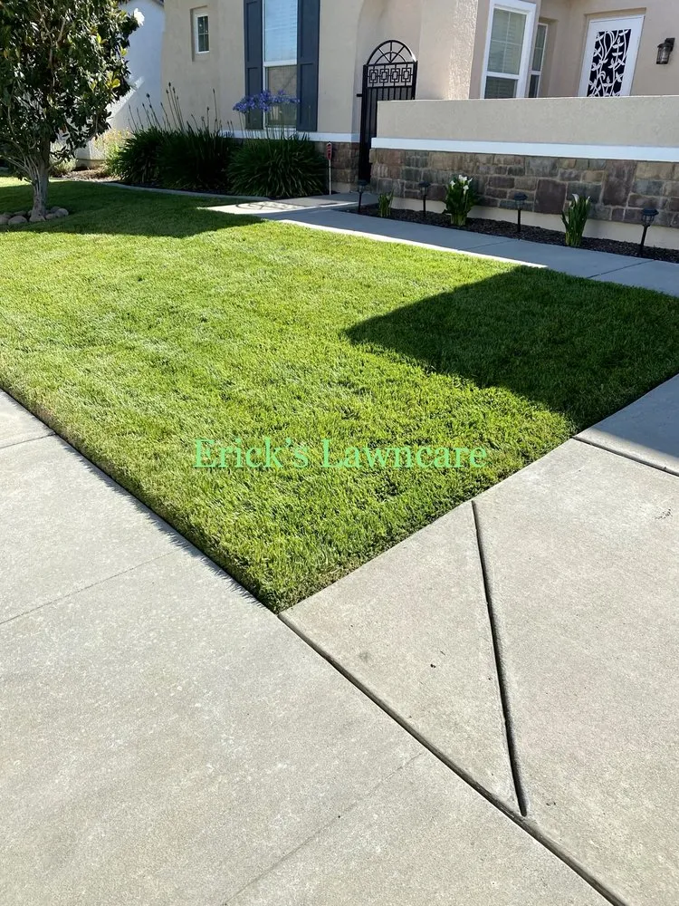 Local landscape design in Elk Grove, CA by Erick's lawncare
