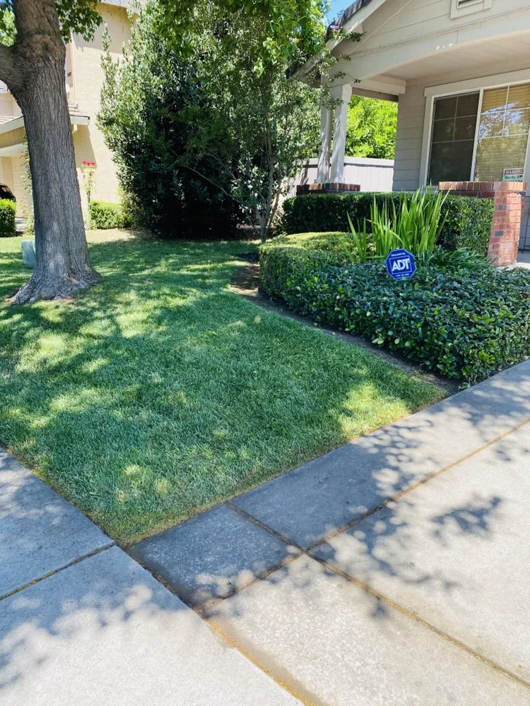 Trusted landscape design near you in Elk Grove, CA by Erick's lawncare