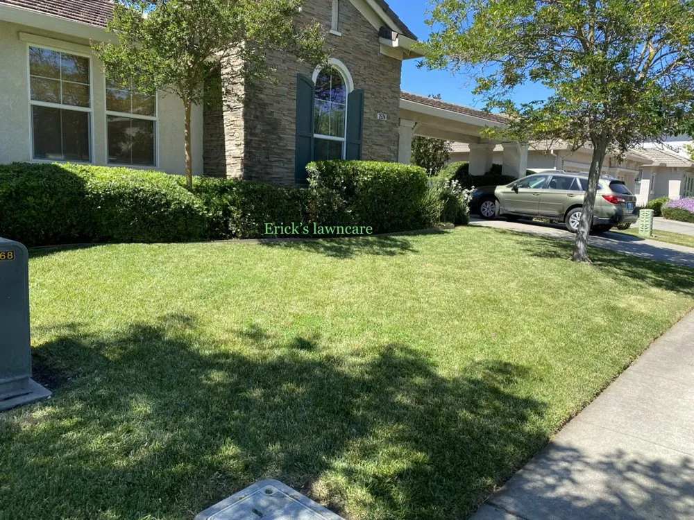 Affordable landscape design for beautiful yards in Elk Grove, CA by Erick's lawncare
