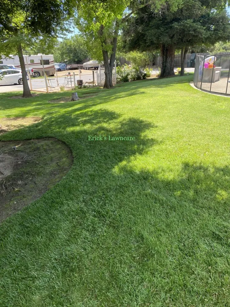 Top-rated yard maintenance in Elk Grove, CA by Erick's lawncare