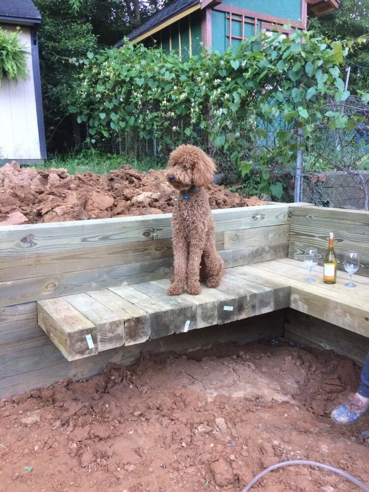 Local yard cleanup service in Fairfax, VA by Erickson Landscaping