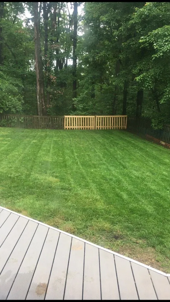 Local yard cleanup service in Fairfax, VA - Erickson Landscaping