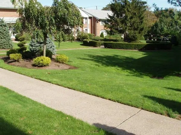 Top-rated lawn care service in Crawfordville, FL - Eric's Clean Cut Services