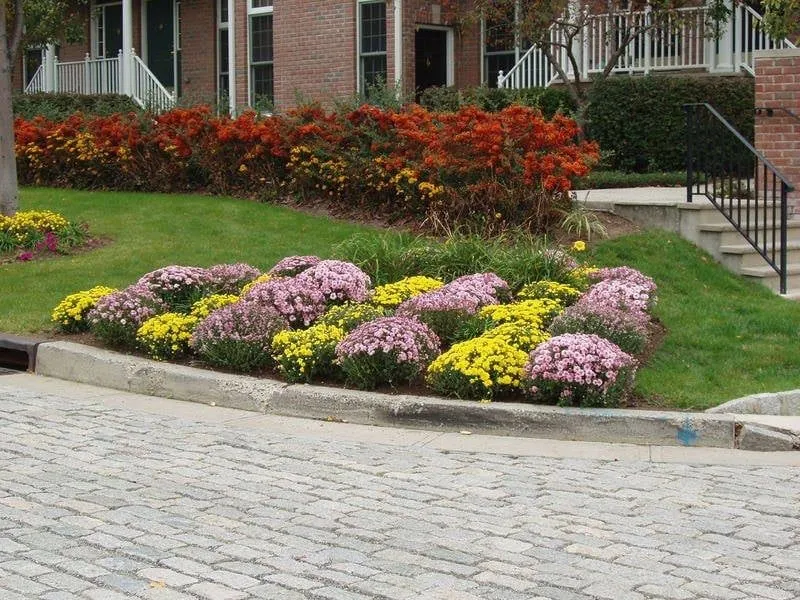 Trusted yard maintenance with custom design in Crawfordville, FL by Eric's Clean Cut Services