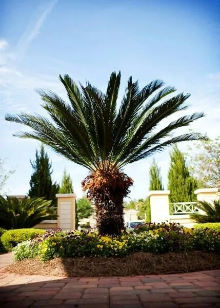 Trusted landscape installation for residential properties in Crawfordville, FL by Eric's Clean Cut Services